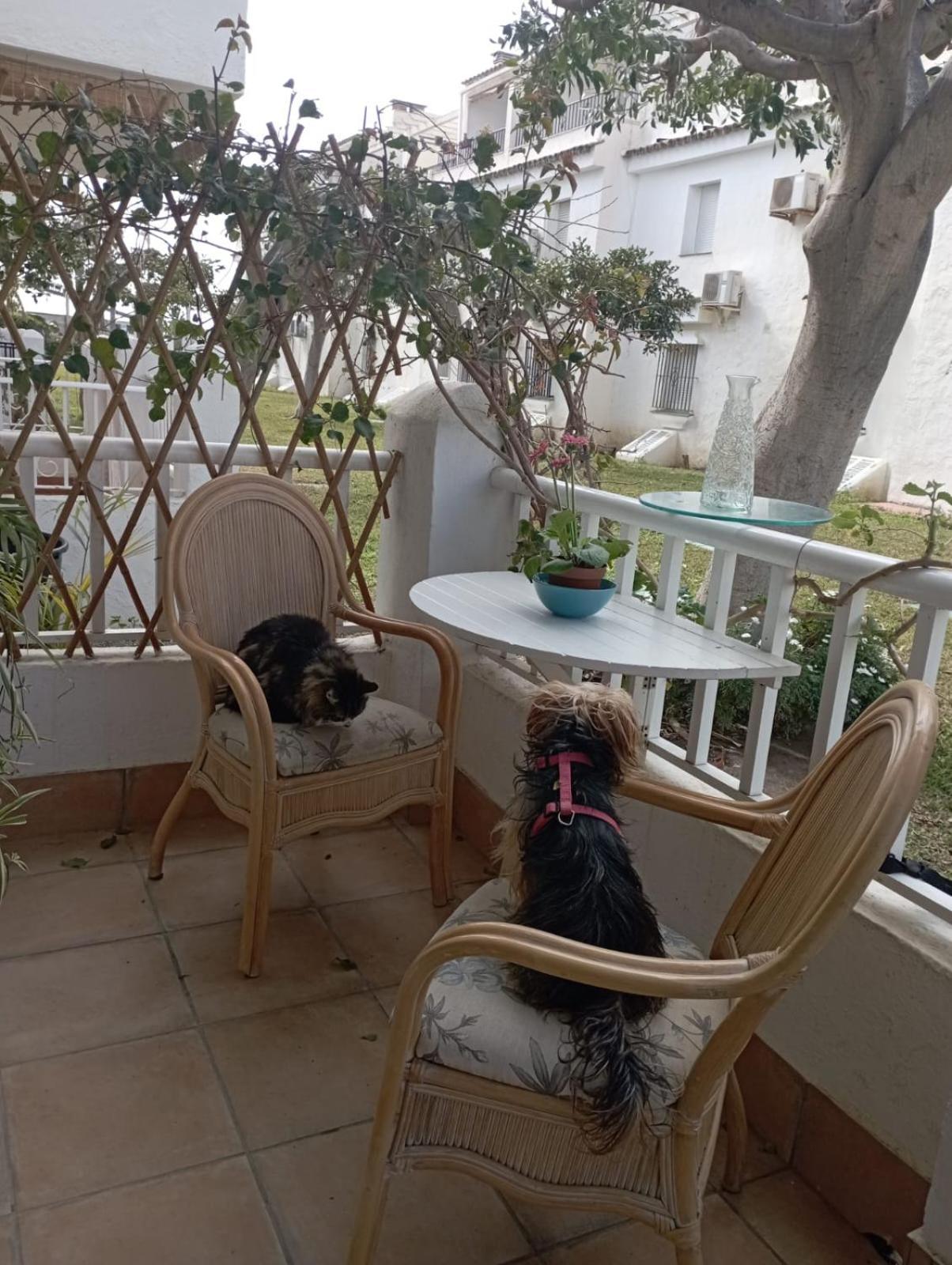 Apartamento Laguna Beach Torrox Costa Exterior photo